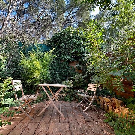 Charmant Studio Lodge Climatise Avec Jardin Et Vue Sur Le Pic Saint Loup Jacou Exterior photo